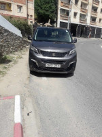 commerciale-peugeot-expert-2020-larbaa-nath-irathen-tizi-ouzou-algerie