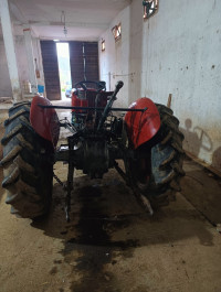 tracteurs-massey-ferguson-1968-aomar-bouira-algerie