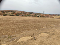 terrain-vente-relizane-mazouna-algerie