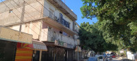 autre-vente-bien-immobilier-boumerdes-bordj-menaiel-algerie