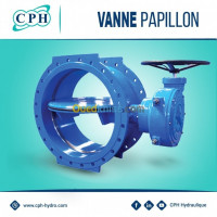 materiaux-de-construction-vanne-papillon-double-excentrique-djelfa-algerie