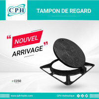 matieres-premieres-tampon-de-regard-en-fonte-c250-500-x-600-djelfa-algerie