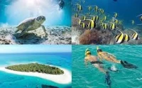 Combiné Zanzibar Egypte été 2025