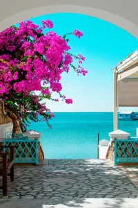Tunisie par Bus Décembre 2024