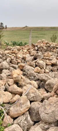 حجارة للبناء 