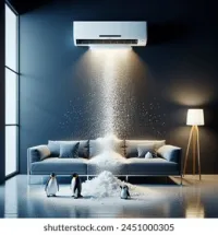 Clim service 