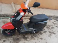 vms coxi 1 2021