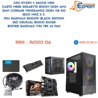RYZEN 5 5600G MPK CM GIGABYTE B550M RAM DDR4 08GO X2 PSU RAIDMAX RX550W SSD 240GB BOITIER RAIDMAX 4X