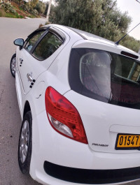 voitures-peugeot-207-2012-taher-jijel-algerie