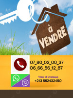 autre-vente-bien-immobilier-blida-algerie