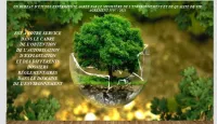 Bureau d'études en environnement 