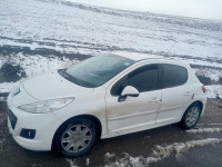 voitures-peugeot-207-2012-biskra-algerie