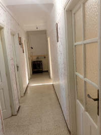 appartement-vente-f4-tipaza-khemisti-algerie