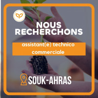 commercial-marketing-assistante-technico-commerciale-souk-ahras-algerie