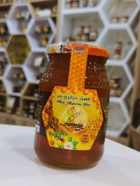 آخر-عسل-اللبينة-miel-deuphorbe-بودواو-بومرداس-الجزائر