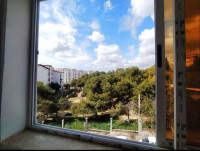 appartement-vente-f3-alger-bourouba-algerie