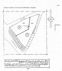 terrain-vente-medea-ksar-boukhari-algerie