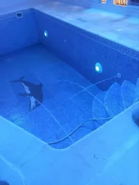 Instalation et construction piscine