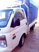 camion-h100-2010-dhayet-bendhahoua-ghardaia-algerie