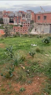 أرض-بيع-الجزائر-السحاولة