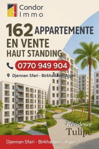 Vente Appartement F3 F5 Alger Birkhadem