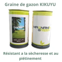 Graine de Gazon KIKUYU 