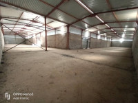 hangar-location-el-tarf-beni-amar-algerie