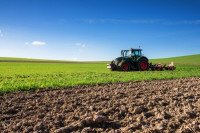 terrain-agricole-vente-annaba-ain-berda-algerie