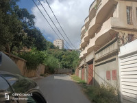 appartement-vente-f3-annaba-algerie