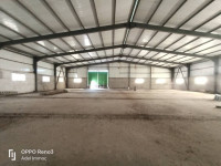 hangar-location-el-tarf-drean-algerie