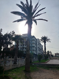 appartement-vente-f3-alger-ain-taya-algerie