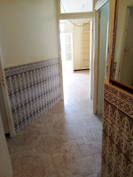 appartement-location-f2-alger-centre-algerie