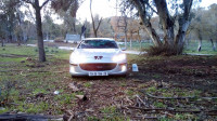 voitures-peugeot-407-2004-constantine-algerie