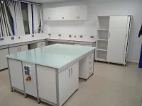 Paillasse de laboratoire et Hotte chimique