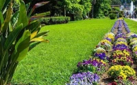 Béton imprimé et espace vert gazon naturel 