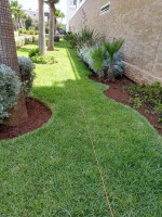 تنظيف-و-بستنة-jardinage-gazon-naturel-amenagement-espace-vert-et-plantes-بن-عكنون-الجزائر