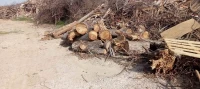 Déchet de bois 