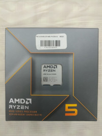 processeur-amd-ryzen-5-8500g-version-box-avec-refroidisseur-remchi-tlemcen-algerie