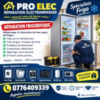 home-appliances-repair-reparation-frigo-refrigerateur-a-alger-intervention-domicile-centre-algeria