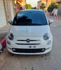 سيارات-fiat-500-2025-cult-mib-الشلف-الجزائر