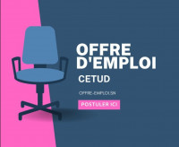 commercial-marketing-offre-demploi-speciale-travail-libiral-alger-centre-algerie