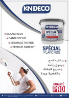 materiaux-de-construction-kndeco-special-plafond-birkhadem-alger-algerie