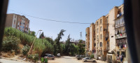 appartement-vente-f3-blida-meftah-algerie