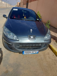 voitures-peugeot-407-2007-tebesbest-touggourt-algerie