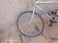 velos-velo-26-el-kseur-bejaia-algerie