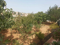 appartement-vente-niveau-de-villa-f04-alger-bouzareah-algerie