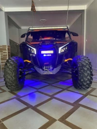 Can am Can-am maverick xds 2020