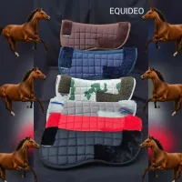 Amortisseur cheval امورتسور للخيل