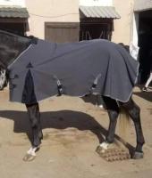 accessoire-pour-animaux-materiel-equitation-couverture-cheval-manteau-جلال-للخيل-mohammadia-alger-algerie