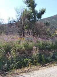 أرض-بيع-تيزي-وزو-زكري-الجزائر
